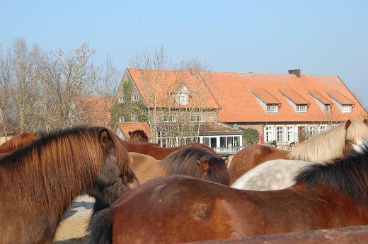 DSC_7132.JPG